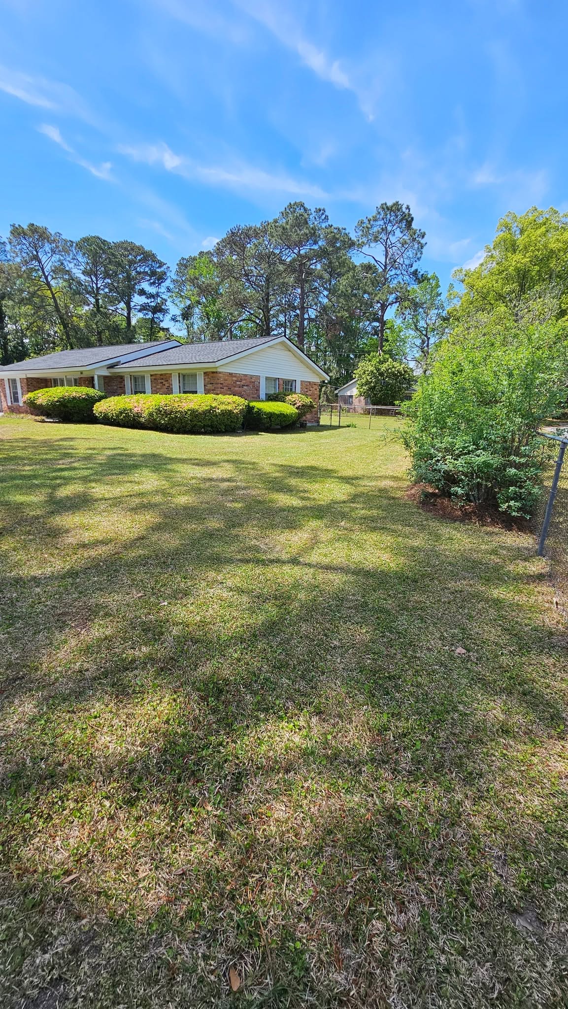 Maintained home lawn